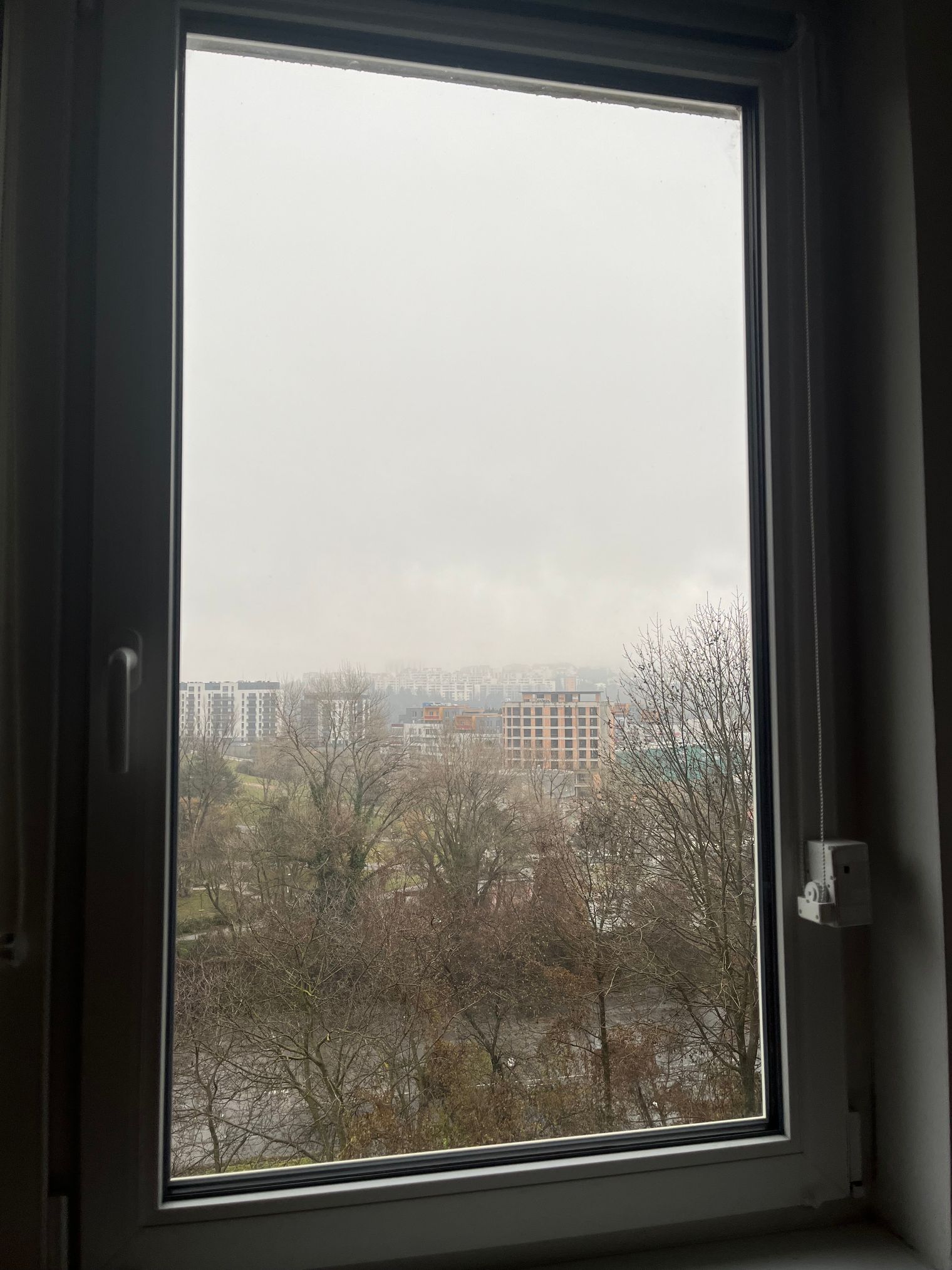 biznis_image1